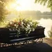 Funerare Bucuresti